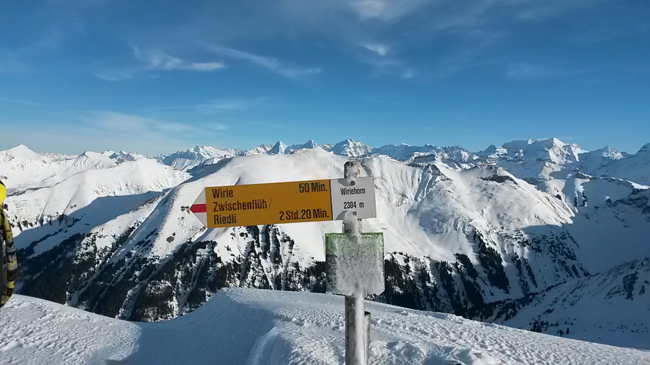 Eiger, Mönch und Jungfrau (Bildmitte, hintere Reihe) vom Gipfel der Wiriehore, davor die Wyssi Flue