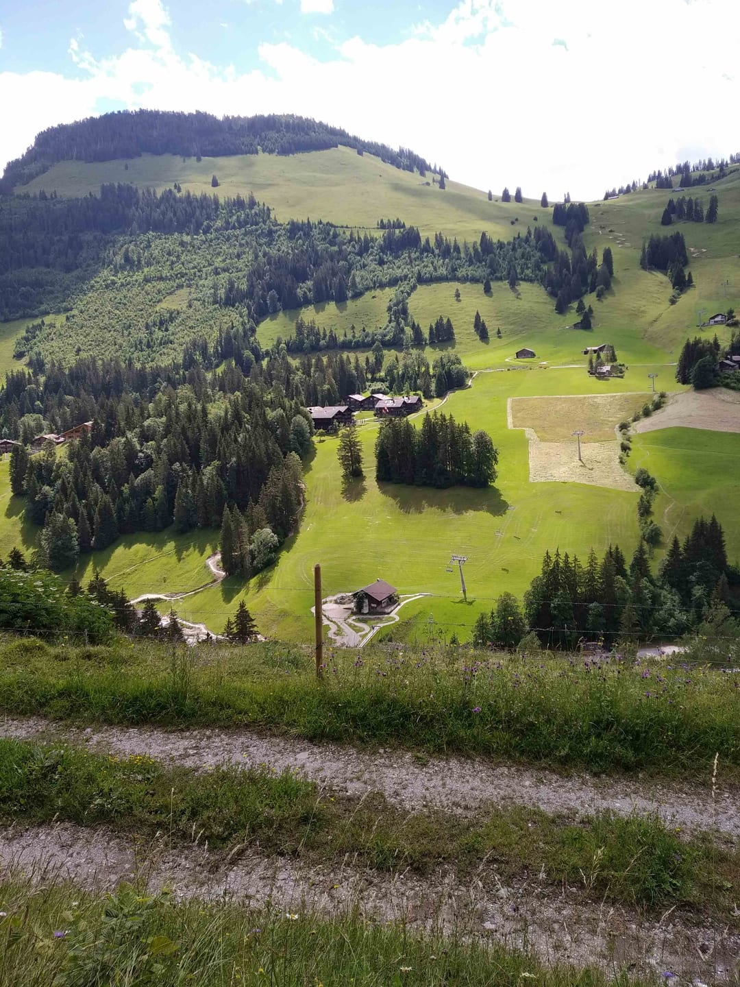 Blick auf die Feriensiedlung (Bildmitte) von der andern Talseite; Haus Silvana hinter den Bäumen verdeckt