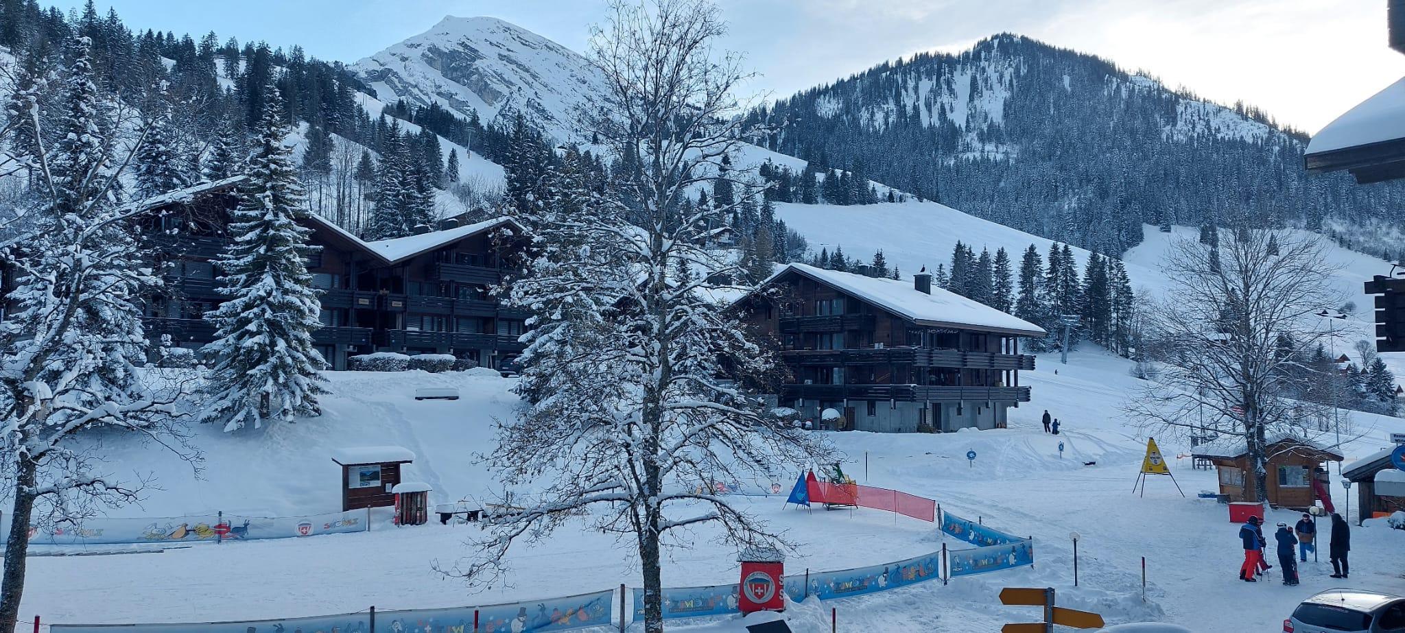 Impressionen aus dem Diemtigtal
